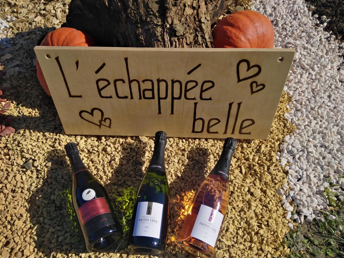L'Echappee Belle En Champagne Spoy (Aube) Exterior foto