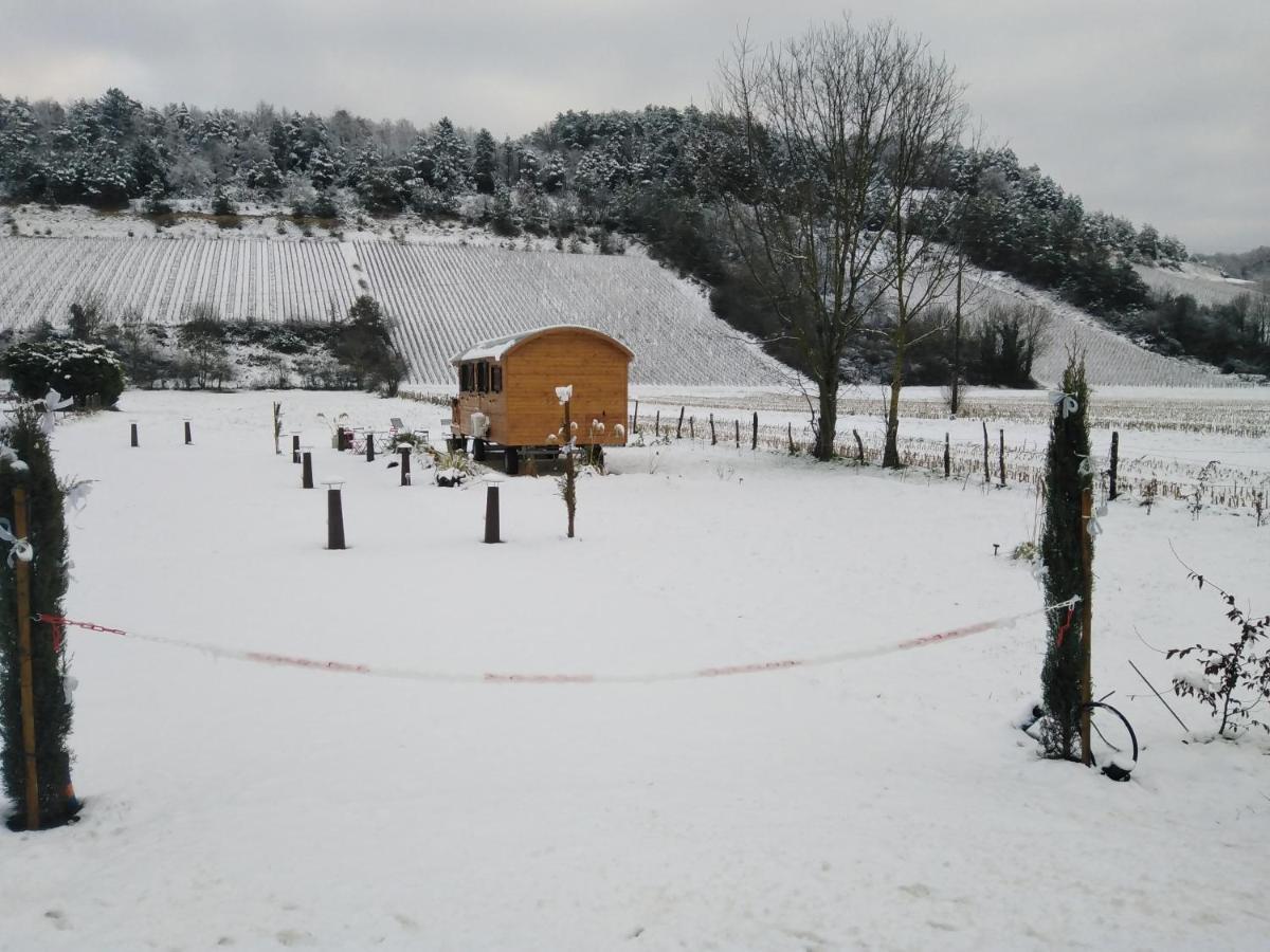 L'Echappee Belle En Champagne Spoy (Aube) Exterior foto